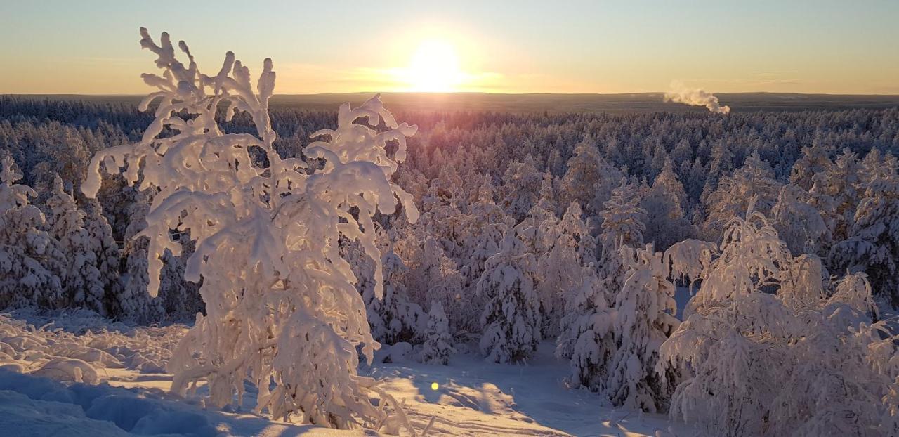 Villaski Rovaniemi Exterior photo
